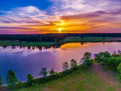 (private lake, pond, creek) Lot For Sale in Hillister Texas