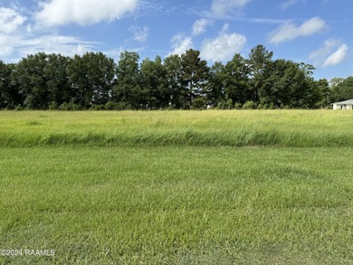 Vermilion River - Vermilion Parrish Lot For Sale in Abbeville Louisiana