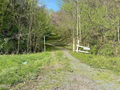 Lake Acreage For Sale in Newport, Tennessee