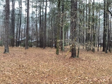 BEAUTIFUL OFFWATER LOT - Lake Lot For Sale in Pachuta, Mississippi