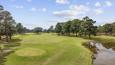 Welcome to 4869 Luster Leaf Circle in Myrtle Beach, SC! Discover - photo 8