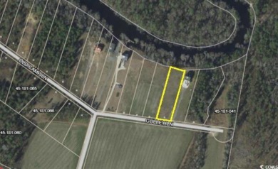  Lot For Sale in Salters South Carolina
