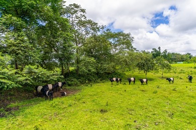 This exceptional fully fenced 9.16-acre homestead offers a - photo 24