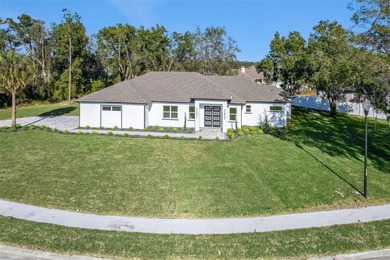 Silver Lake - Lake County Home For Sale in Leesburg Florida