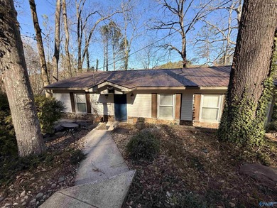 Lake Guntersville Home For Sale in Guntersville AL