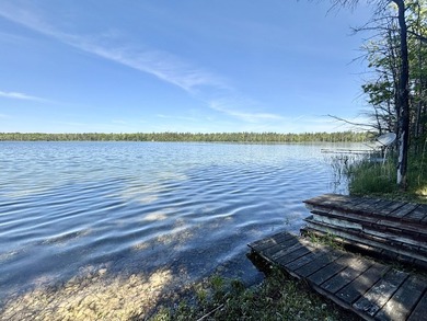 LAKEFRONT in LEWISTON - Beautiful and comfortable chalet style - photo 42