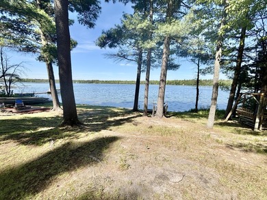 LAKEFRONT in LEWISTON - Beautiful and comfortable chalet style - photo 43
