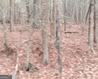 Norris Lake Acreage Active Under Contract in Snellville Georgia