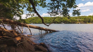 Lake Lot For Sale in Lynch Station, Virginia