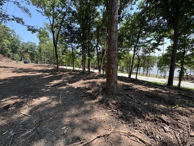 River lots available in beautiful Switzerland County, come enjoy - photo 2