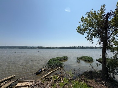 River lots available in beautiful Switzerland County, come enjoy - photo 3