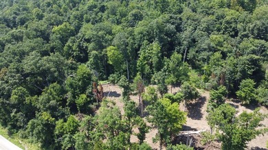 River lots available in beautiful Switzerland County, come enjoy - photo 7