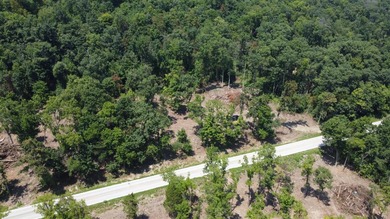 River lots available in beautiful Switzerland County, come enjoy - photo 8