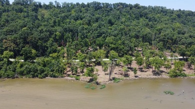 River lots available in beautiful Switzerland County, come enjoy - photo 10