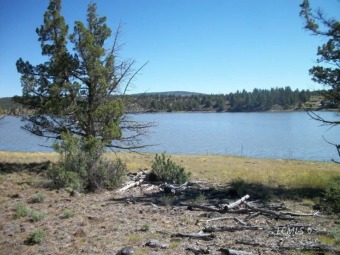 Lake Acreage For Sale in Lakeview, Oregon