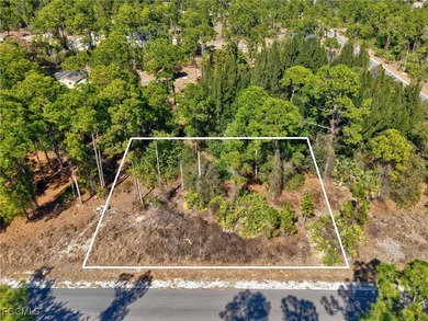 Lehigh Acres Area Lot For Sale in Lehigh Acres Florida