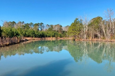 (private lake, pond, coastal) Acreage For Sale in Johns Island South Carolina