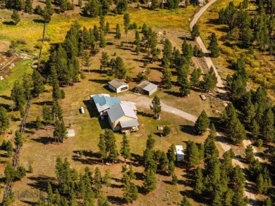 Lake Home For Sale in Butte, Montana