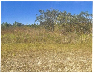 Lake Weohyakapka (Lake Walk-In-Water) Lot For Sale in Indian Lake Estates Florida