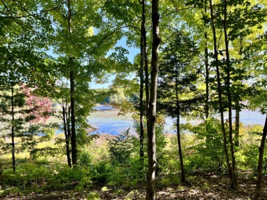 Lake Acreage For Sale in Colton, New York