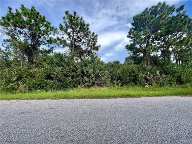 Port Charlotte Waterway Area Lot For Sale in Port Charlotte Florida