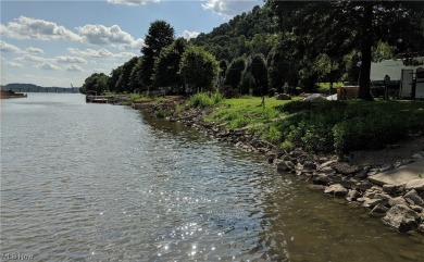 Ohio River Acreage For Sale in Newport Ohio