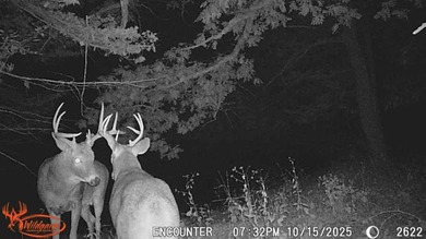 (private lake, pond, creek) Home For Sale in Mount Ayr Iowa