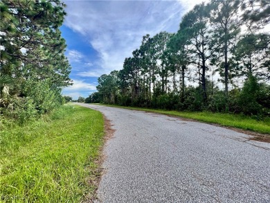 Beautiful lot offers a unique opportunity to build the home of - photo 3