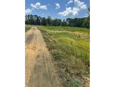 Lake Sam Rayburn  Lot For Sale in San Augustine Texas