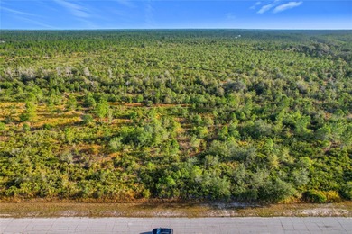 Build your Florida dream on this 1-acre homesite located at Lot