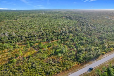 Build your Florida dream on this 1-acre homesite located at Lot