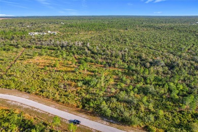 Build your Florida dream on this 1-acre homesite located at Lot