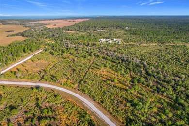 Build your Florida dream on this 1-acre homesite located at Lot