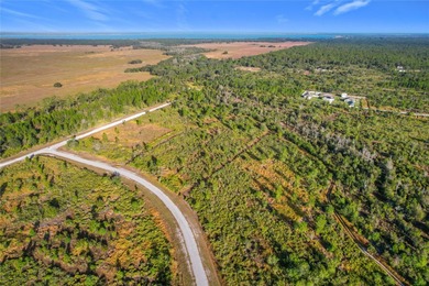 Build your Florida dream on this 1-acre homesite located at Lot