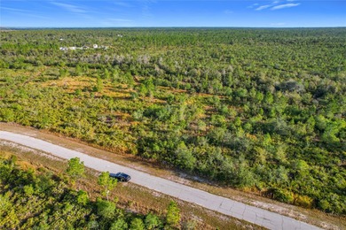 Build your Florida dream on this 1-acre homesite located at Lot