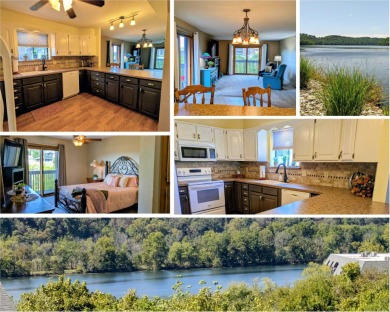 Lake Condo For Sale in Forsyth, Missouri