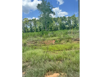 Lake Sam Rayburn  Lot For Sale in San Augustine Texas