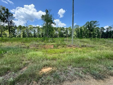 Lake Sam Rayburn  Lot For Sale in San Augustine Texas