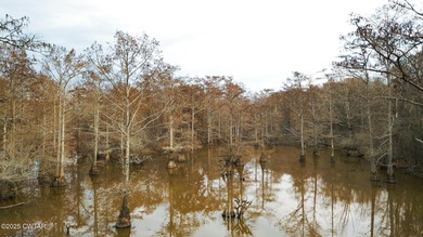 Discover this exceptional 485+/- acre farm with additional - photo 4