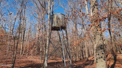 Discover this exceptional 485+/- acre farm with additional - photo 7
