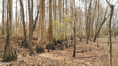 Discover this exceptional 485+/- acre farm with additional - photo 8