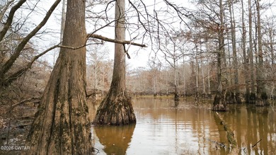 Discover this exceptional 485+/- acre farm with additional - photo 10