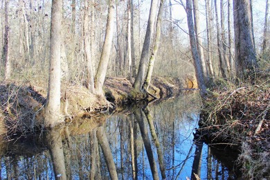 (private lake, pond, creek) Acreage For Sale in Quitman Arkansas