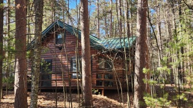 Virgin Lake Cottage - Lake Home For Sale in Three Lakes, Wisconsin