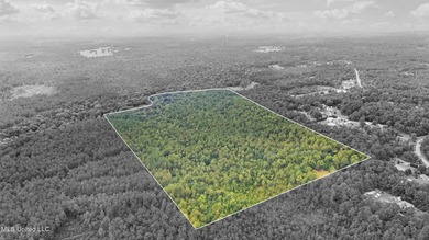 74.8 acres of beautiful property with oaks, magnolias, pines & - photo 16