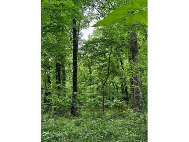 If you are looking for a standout property that is close to town - photo 17