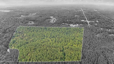 74.8 acres of beautiful property with oaks, magnolias, pines & - photo 17