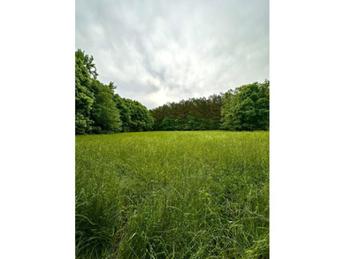 If you are looking for a standout property that is close to town - photo 18