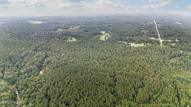 74.8 acres of beautiful property with oaks, magnolias, pines & - photo 18
