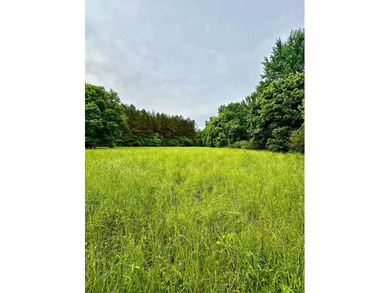 If you are looking for a standout property that is close to town - photo 19